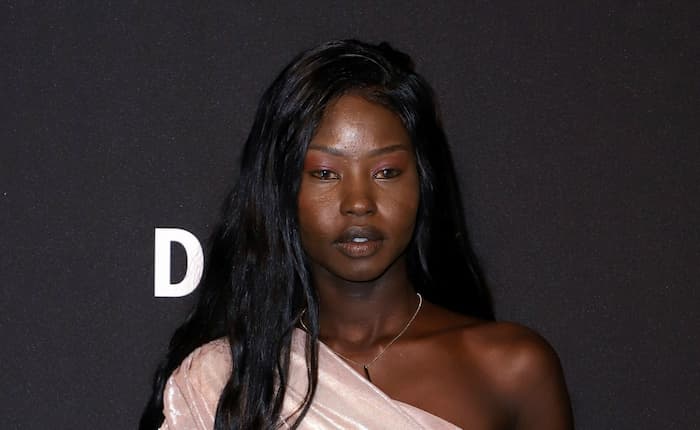Aweng Cheul Aweng Chuol Nationality, Bio-Wiki, Age, Family, Wife and Net Worth